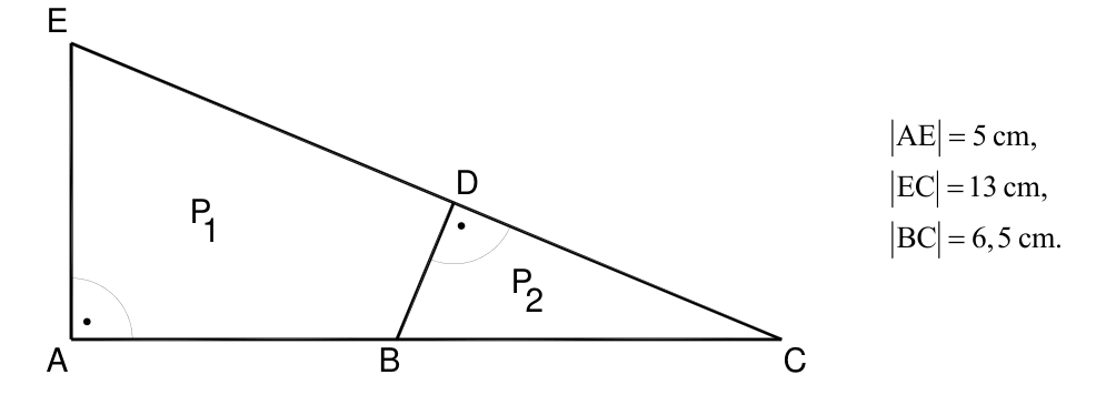 Trójkąt AEC z podziałem na działki P1 i P2, |AE|=5 cm, |EC|=13 cm, |BC|=6,5 cm